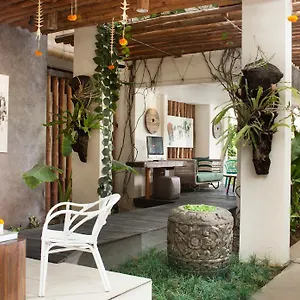 https://grandmas-hotels-seminyak.hotelsseminyak.net